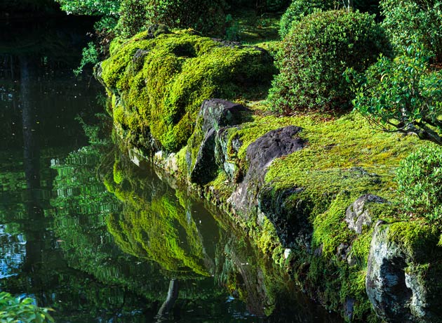 清水寺